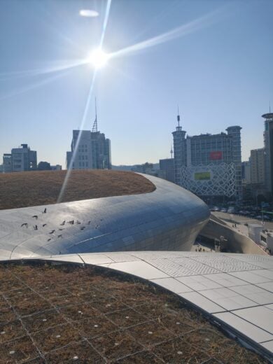 Seoul come non l’avete mai vista: la camminata segreta sul tetto della DDP che cambia la prospettiva sulla città