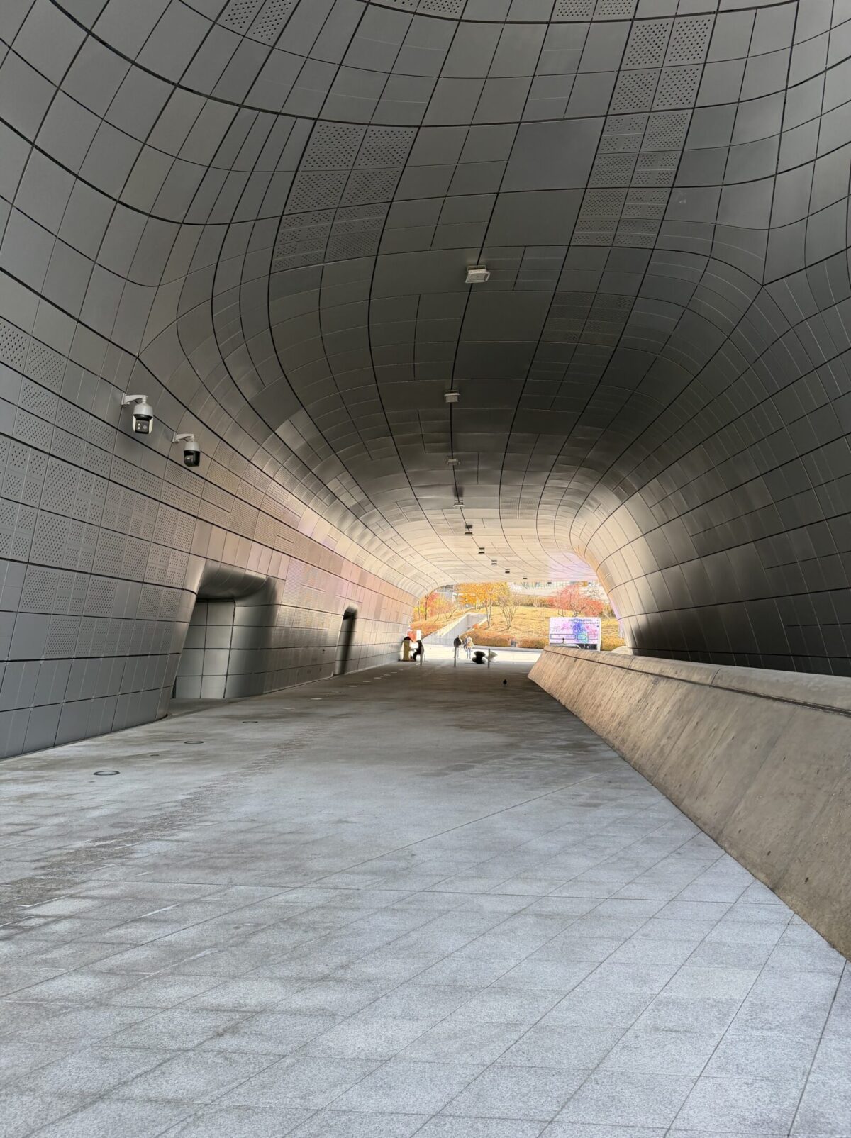 Seoul come non l’avete mai vista: la camminata segreta sul tetto della DDP che cambia la prospettiva sulla città Seoul come non l’avete mai vista: la camminata segreta sul tetto della DDP che cambia la prospettiva sulla città