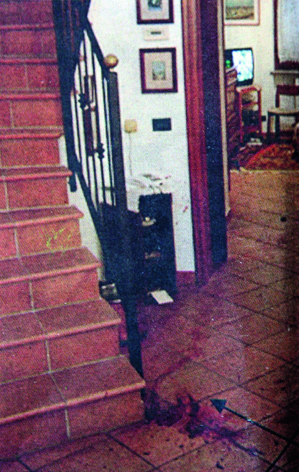 Dal delitto di Garlasco a oggi: tutte le tappe di un caso oscuro Dal delitto di Garlasco a oggi: tutte le tappe di un caso oscuro