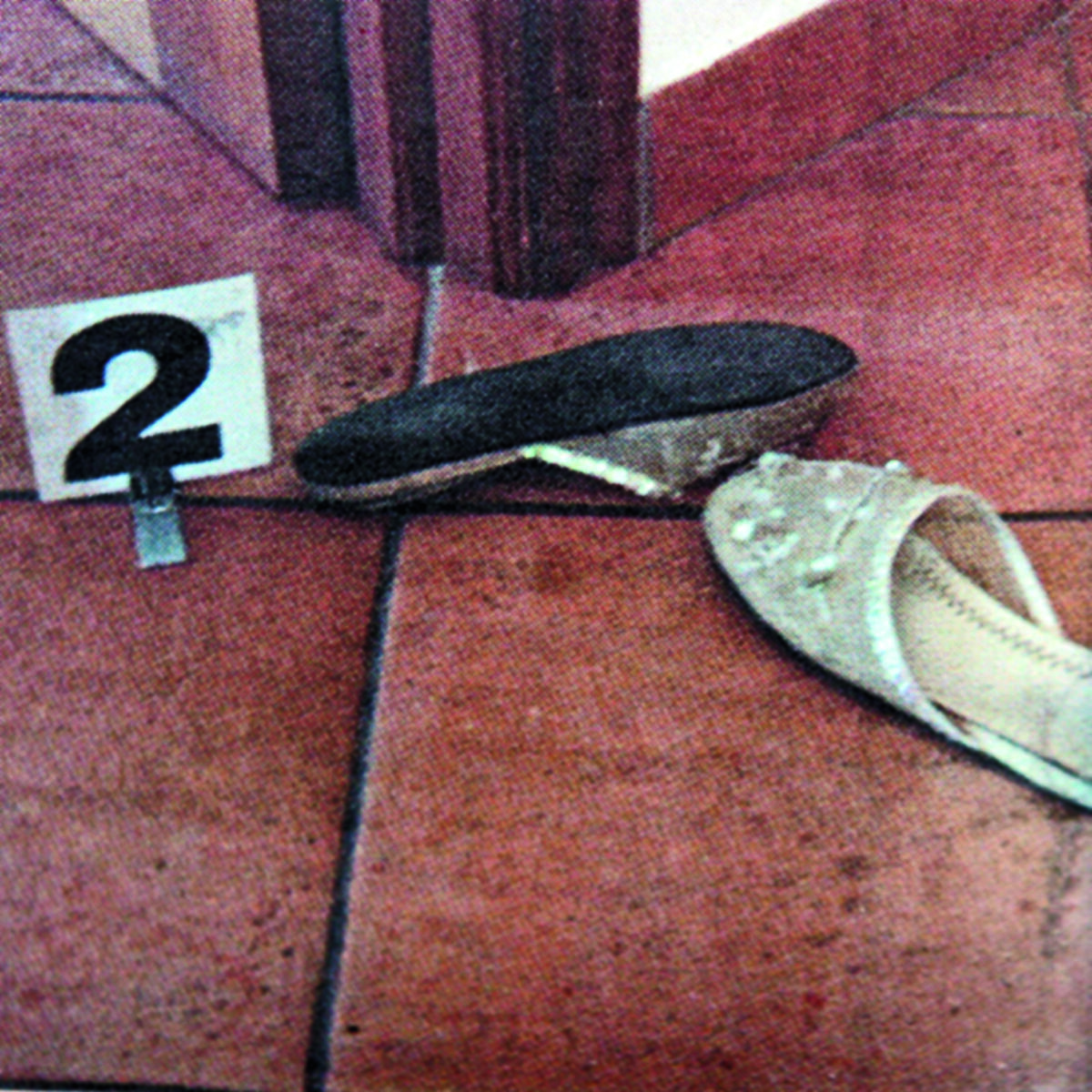 Dal delitto di Garlasco a oggi: tutte le tappe di un caso oscuro Dal delitto di Garlasco a oggi: tutte le tappe di un caso oscuro