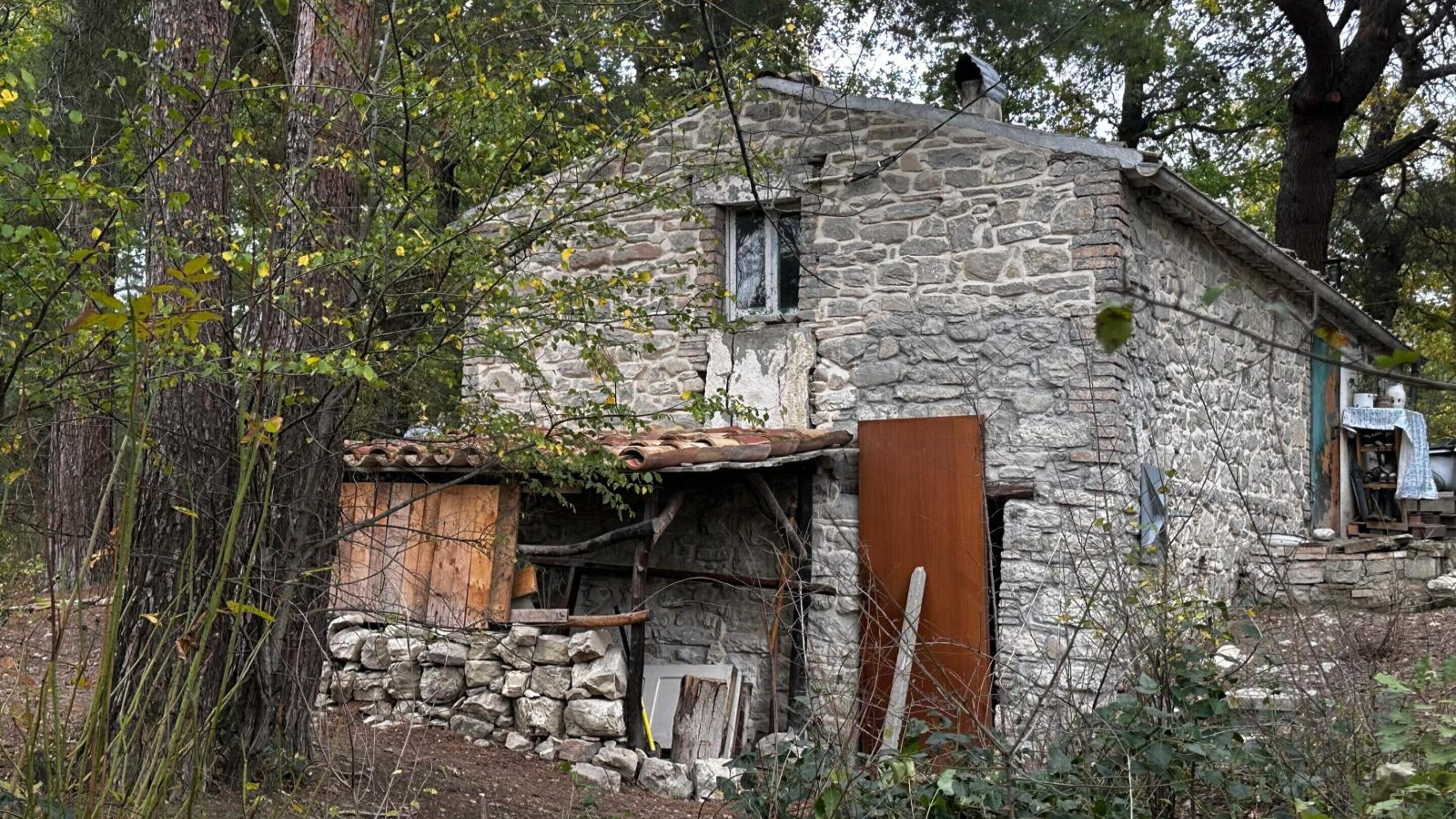 famiglia nel bosco mai rifiutato gli aiuti160i nostri bambini sono il baricentro del nostro cammino