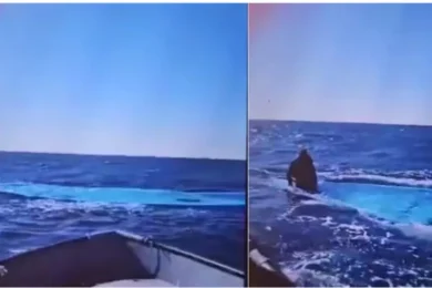 Naufragio nel Mediterraneo centrale: 116 morti, un solo sopravvissuto