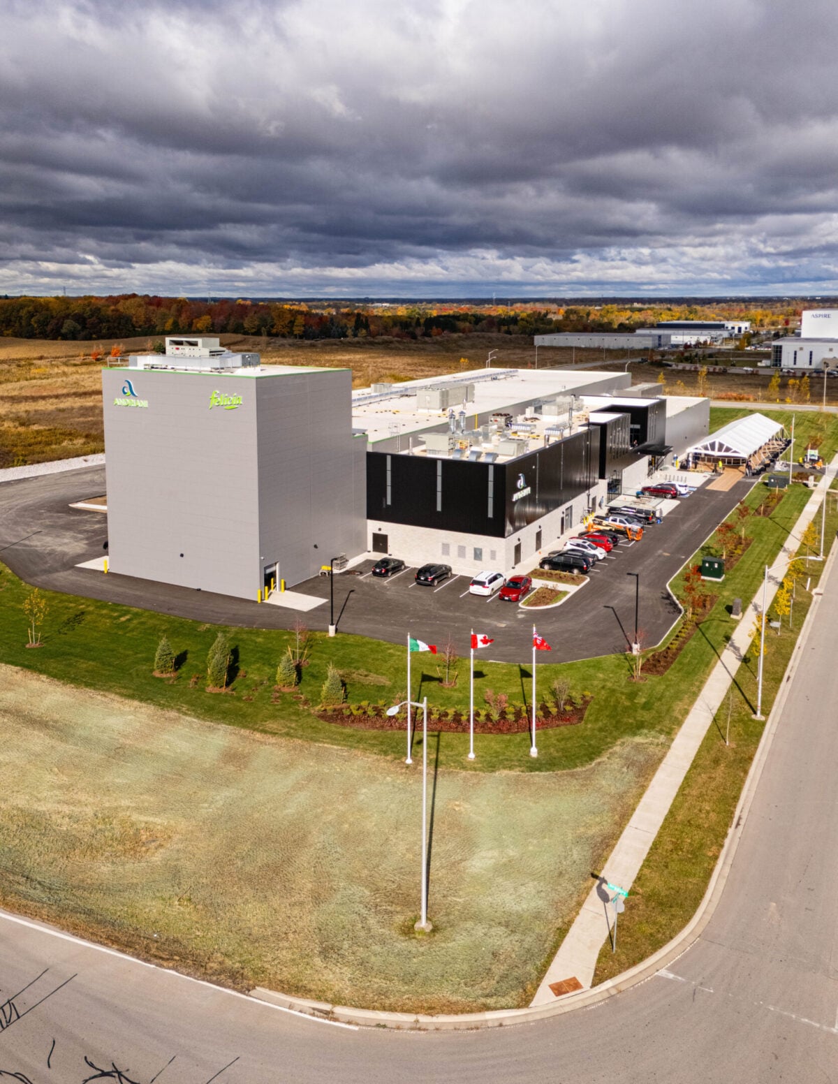 Felicia, la pasta healthy che si prende cura delle persone e dell’ambiente