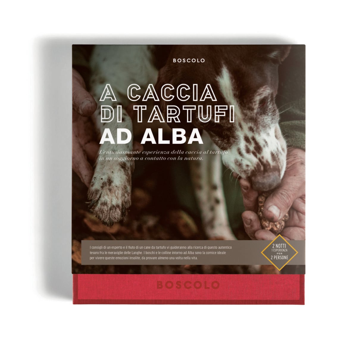 Boscolo Gift Selection: le esperienze di lusso da regalare (e vivere) a Natale Boscolo Gift Selection: le esperienze di lusso da regalare (e vivere) a Natale