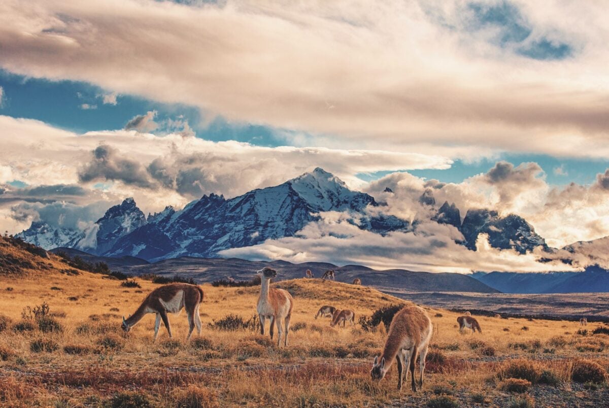 Galleria foto 'Capodanno con Boscolo Tours: esperienze uniche in tutto il mondo' - foto 9