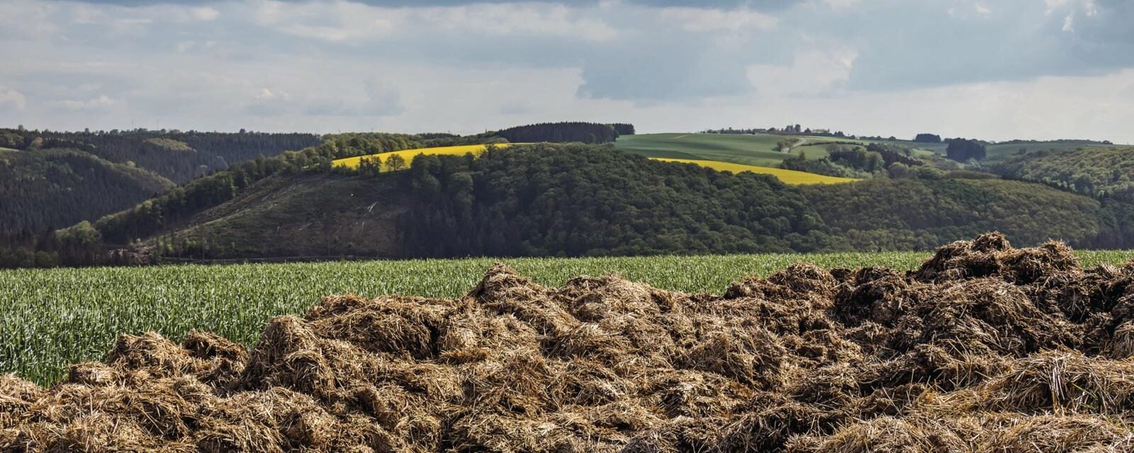 Biometano, l’energia green italiana arriva dai rifiuti organici