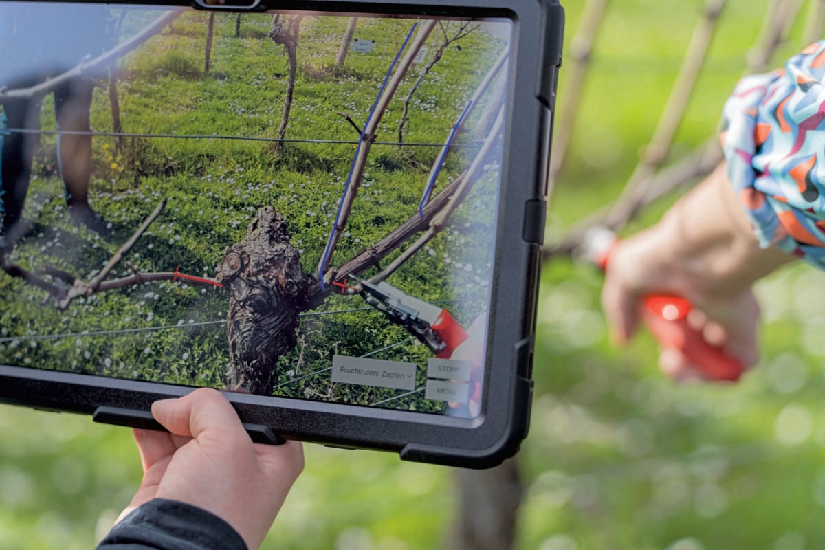 La nuova corsa alla terra: perché i terreni agricoli sono l’investimento del momento