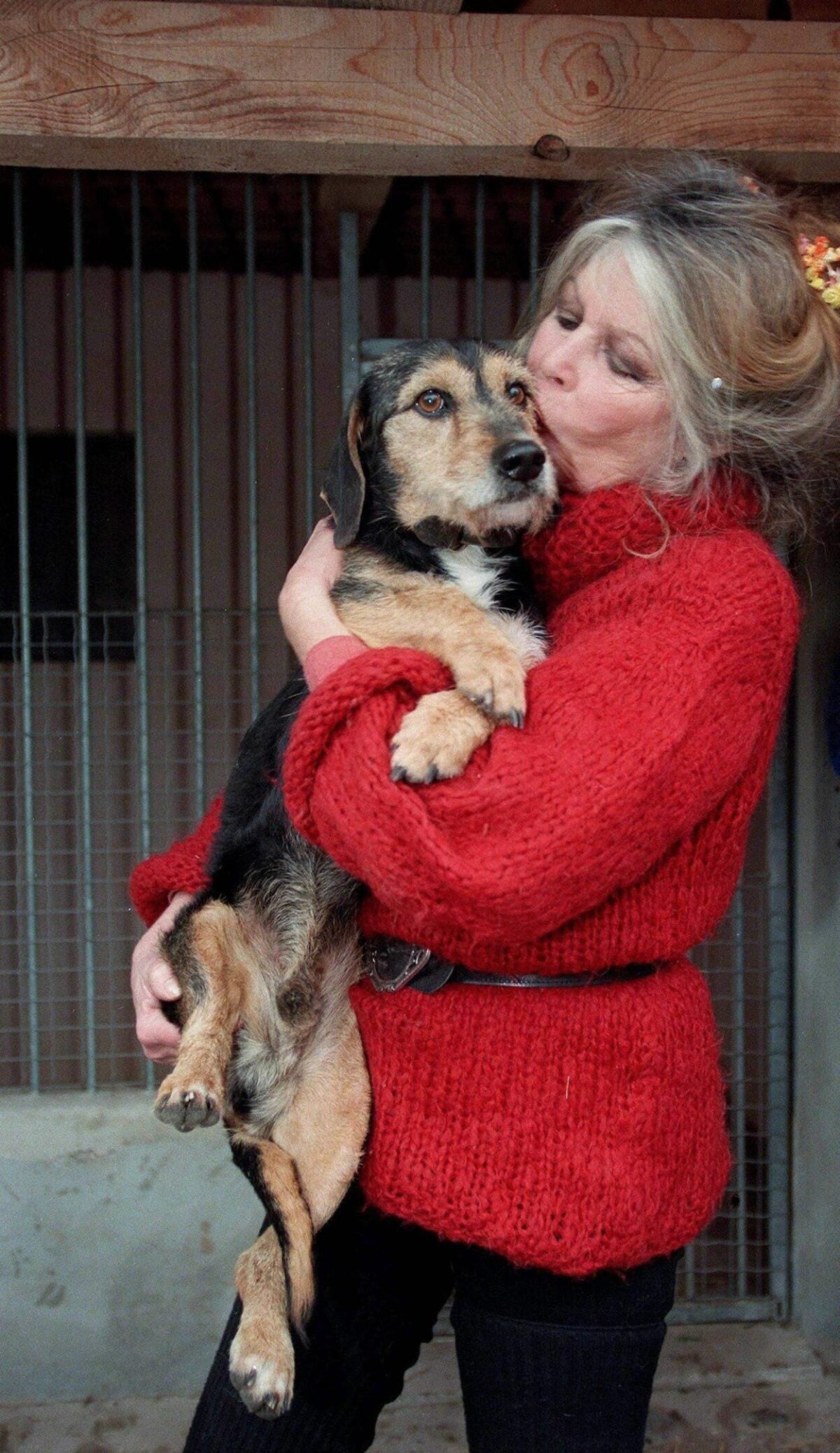 È morta Brigitte Bardot, l’icona indomabile del cinema francese