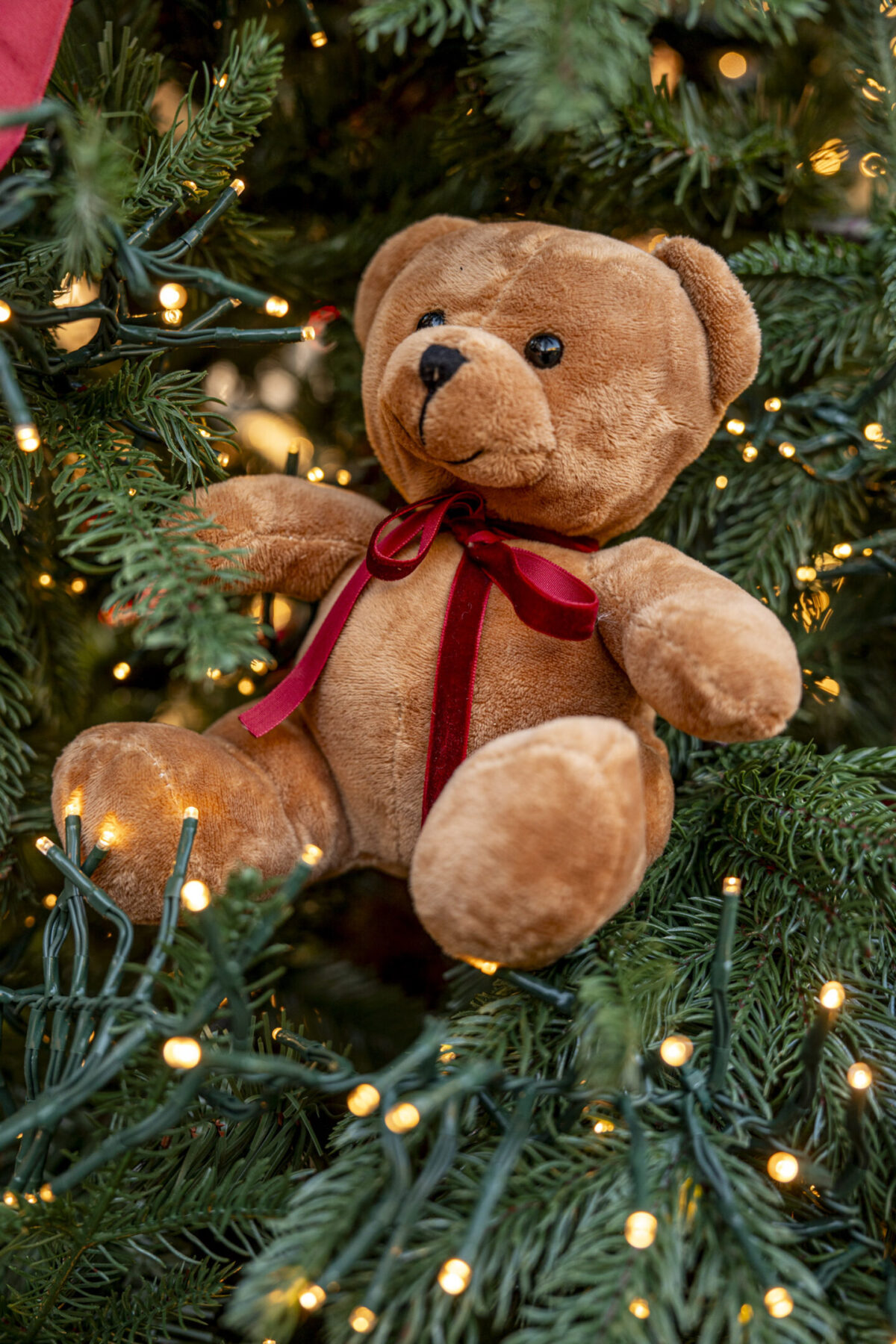 Franciacorta Designer Village accende il Natale: solidarietà, magia e il panettone di Iginio Massari