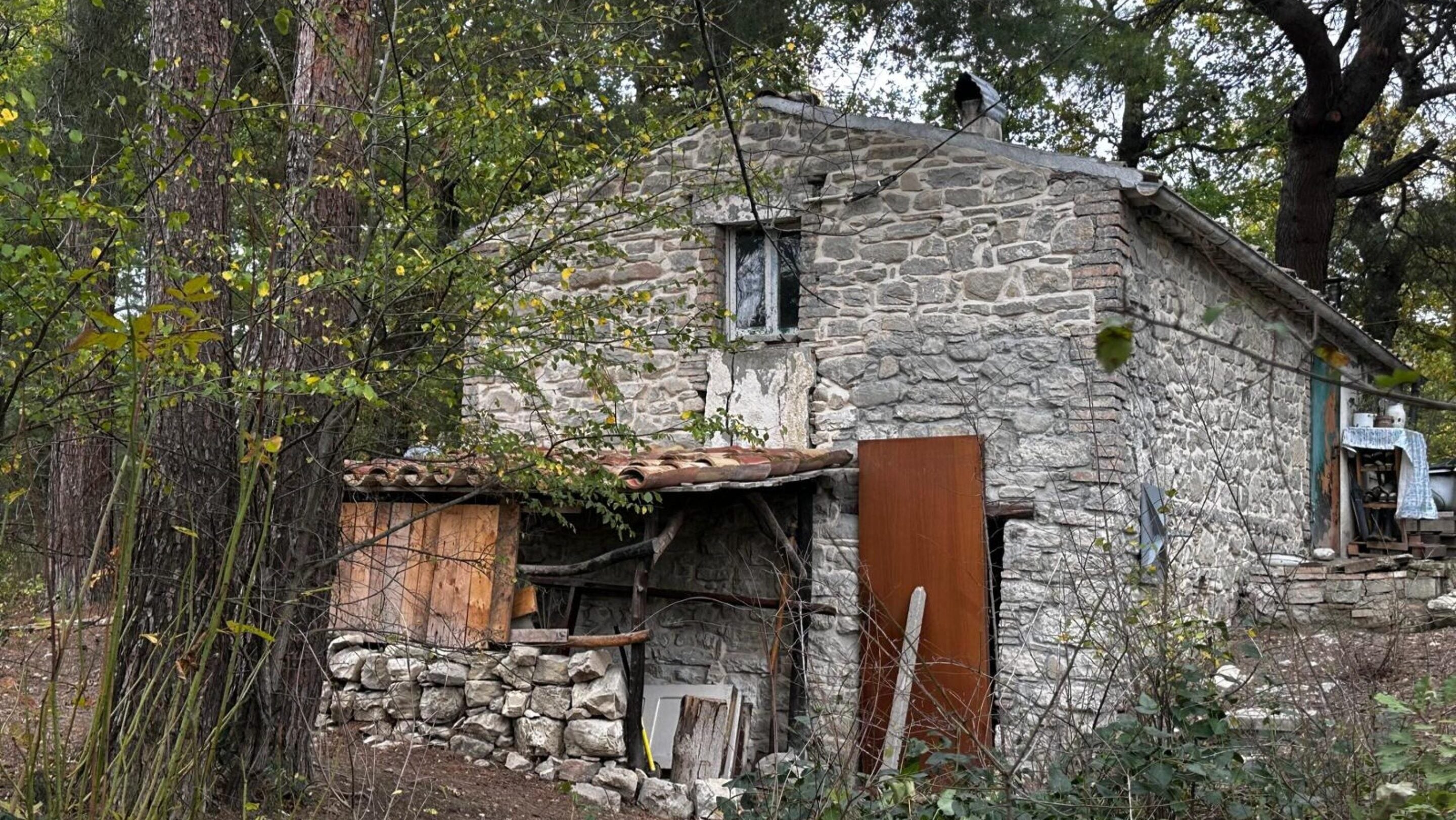 Palmoli, spiragli per riunire la famiglia nel bosco: «I genitori sono pronti a rivedere alcune posizioni» Palmoli, spiragli per riunire la famiglia nel bosco: «I genitori sono pronti a rivedere alcune posizioni»