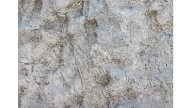 Eccezionale scoperta nel Parco dello Stelvio: migliaia di orme di dinosauri nella roccia