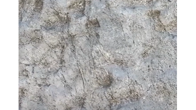 Eccezionale scoperta nel Parco dello Stelvio: migliaia di orme di dinosauri nella roccia