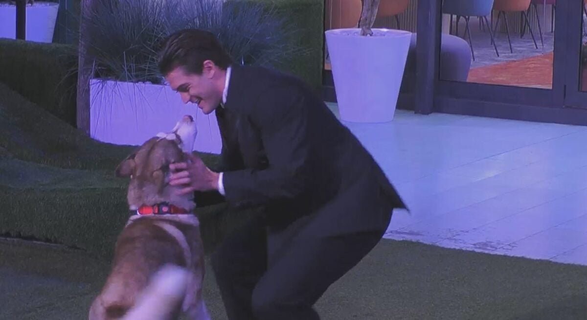 Grande Fratello a sorpresa raddoppia: Anita superfinalista, Rasha sposa, il cane Koda e le pagelle Grande Fratello a sorpresa raddoppia: Anita superfinalista, Rasha sposa, il cane Koda e le pagelle