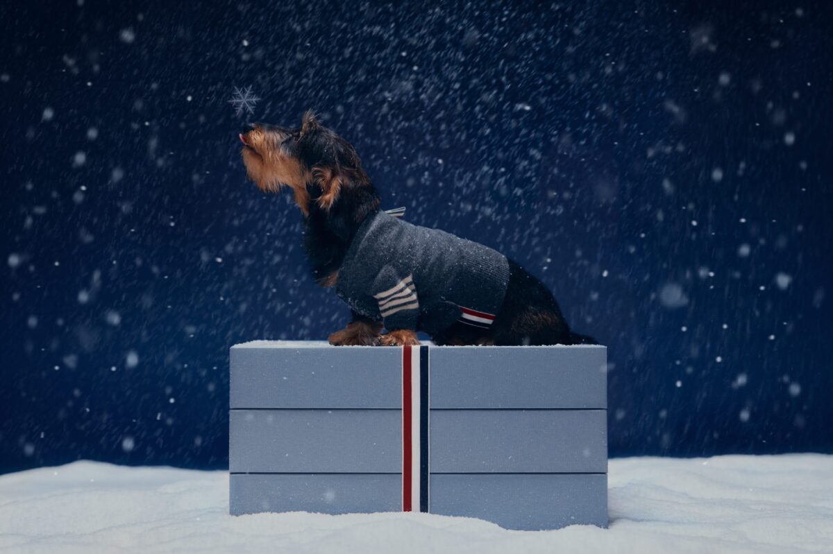 Quando la moda va in vacanza