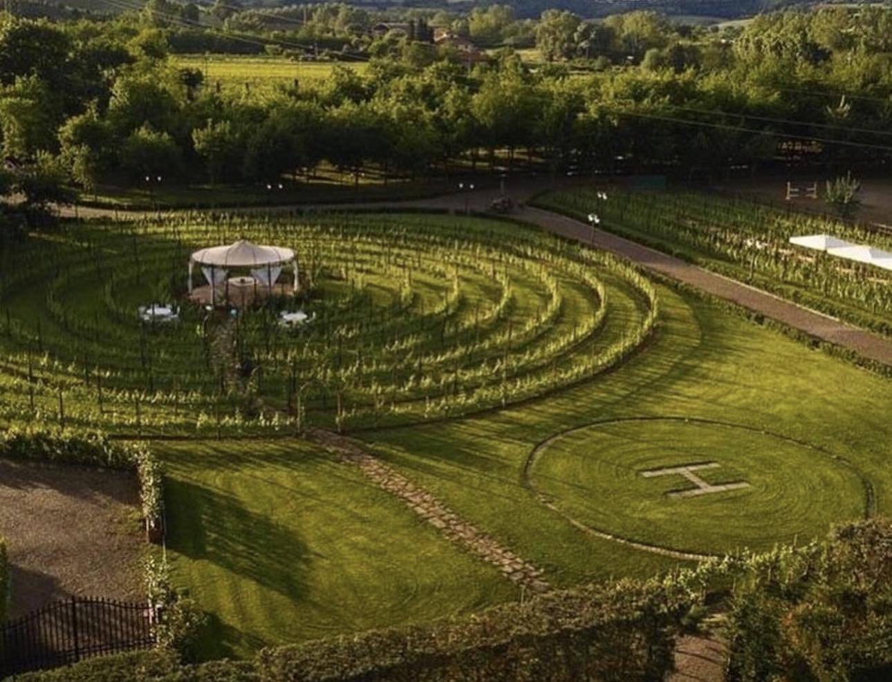 dalla toscana l8217elisir di lunga vita