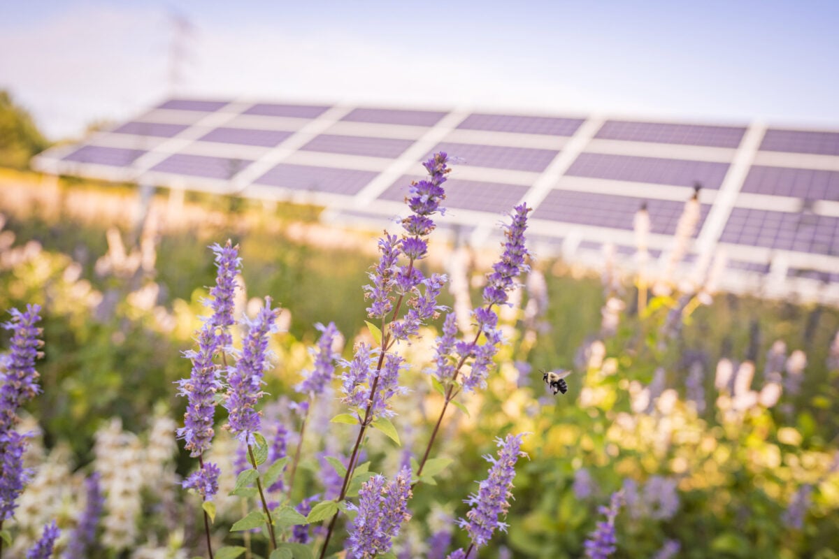 PV Hail Mitigation: la tecnologia che difende il fotovoltaico dalla grandine adattandosi al clima PV Hail Mitigation: la tecnologia che difende il fotovoltaico dalla grandine adattandosi al clima