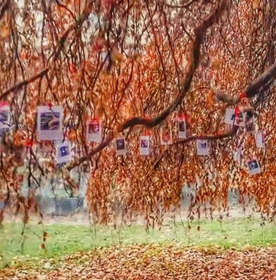A Torino l’albero di Natale più magico dell’anno