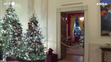 Natale alla Casa Bianca 2025: le decorazioni di Melania Trump tra 10mila farfalle e oltre 200 metri di ghirlande