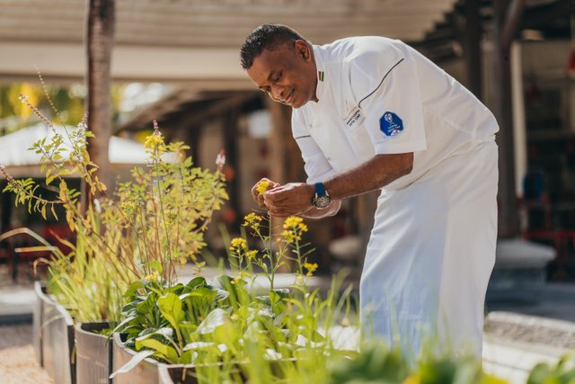 Mauritius gourmet: quando il viaggio passa dalla cucina d’autore (e non solo per il mare)
