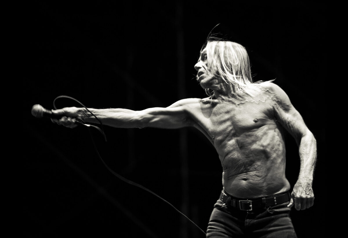 Dietro ogni star, uno sguardo: viaggio negli scatti di Pizzicannella Dietro ogni star, uno sguardo: viaggio negli scatti di Pizzicannella