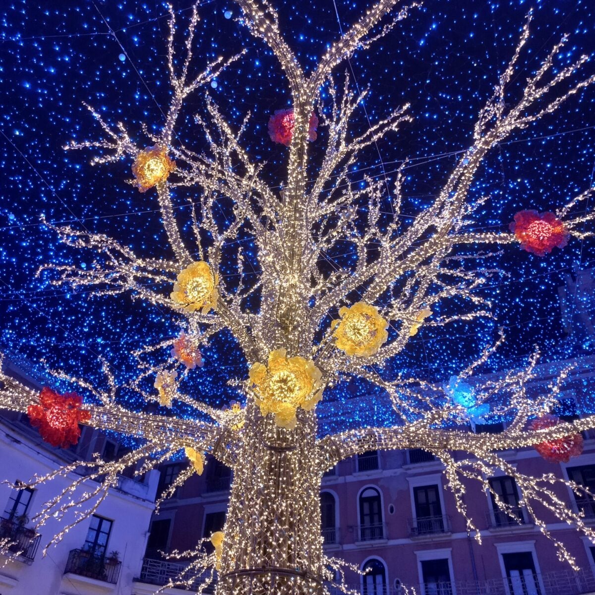 Luci d’Artista accende Salerno. Il centro storico si trasforma in un museo di light art