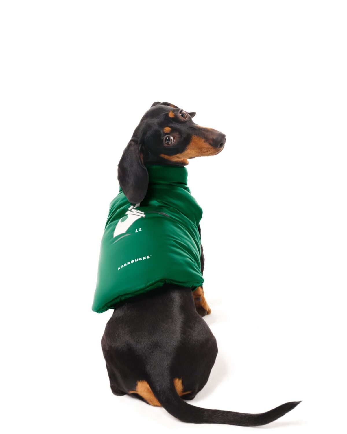 Starbucks accelera nel fashion con The House of Coffee