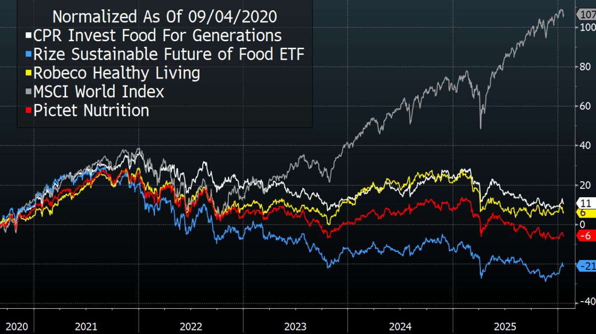 Spunti di Investimento per il 2026: azioni e materie prime