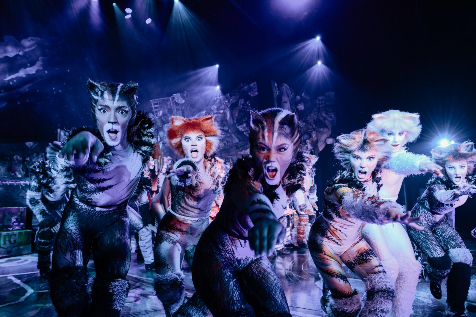 CATS: i Gatti di Andrew Lloyd Webber tornano a ballare