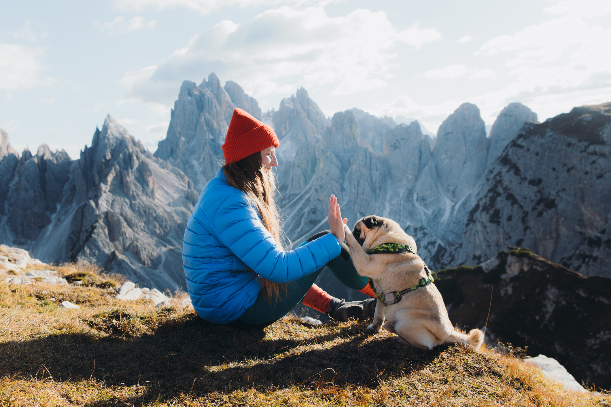 Vacanze pet friendly 2026 in montagna: le mete italiane dove il cane è davvero il benvenuto