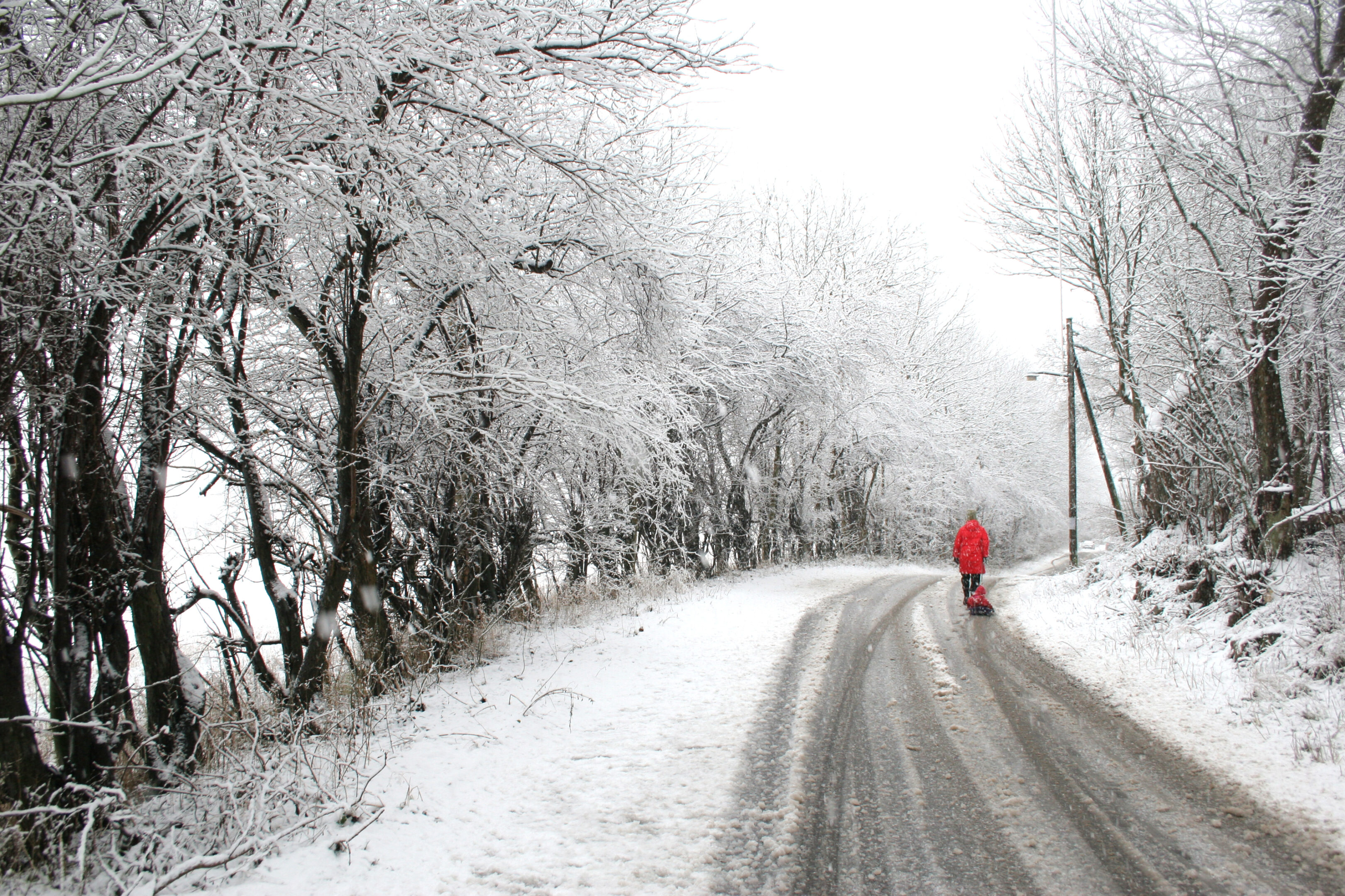Bambino lasciato a piedi dall’autobus perché senza biglietto olimpico: autista sospeso mentre la procura indaga