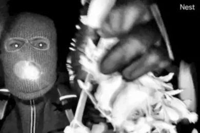 Nancy Guthrie, giallo in Arizona. Sangue in casa e un uomo armato. Tutto sul mistero che scuote l’America