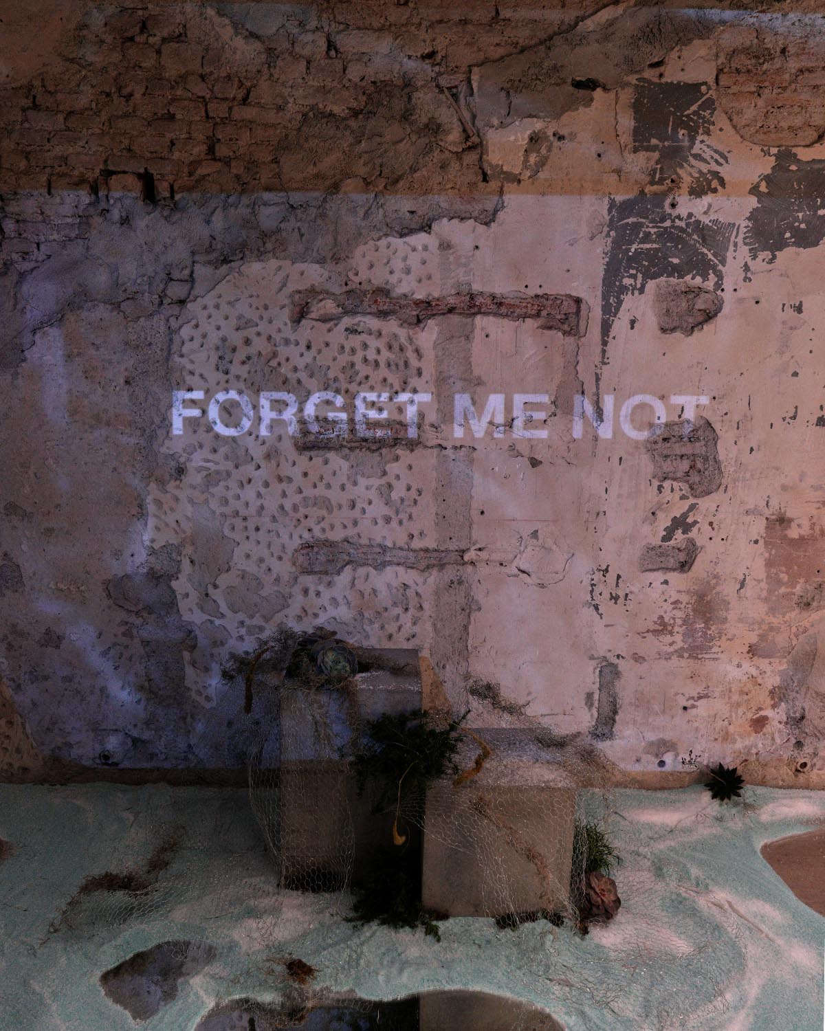 Erika Cavallini torna alla MFW con la direzione creativa di Fabrizio Corbo Erika Cavallini torna alla MFW con la direzione creativa di Fabrizio Corbo