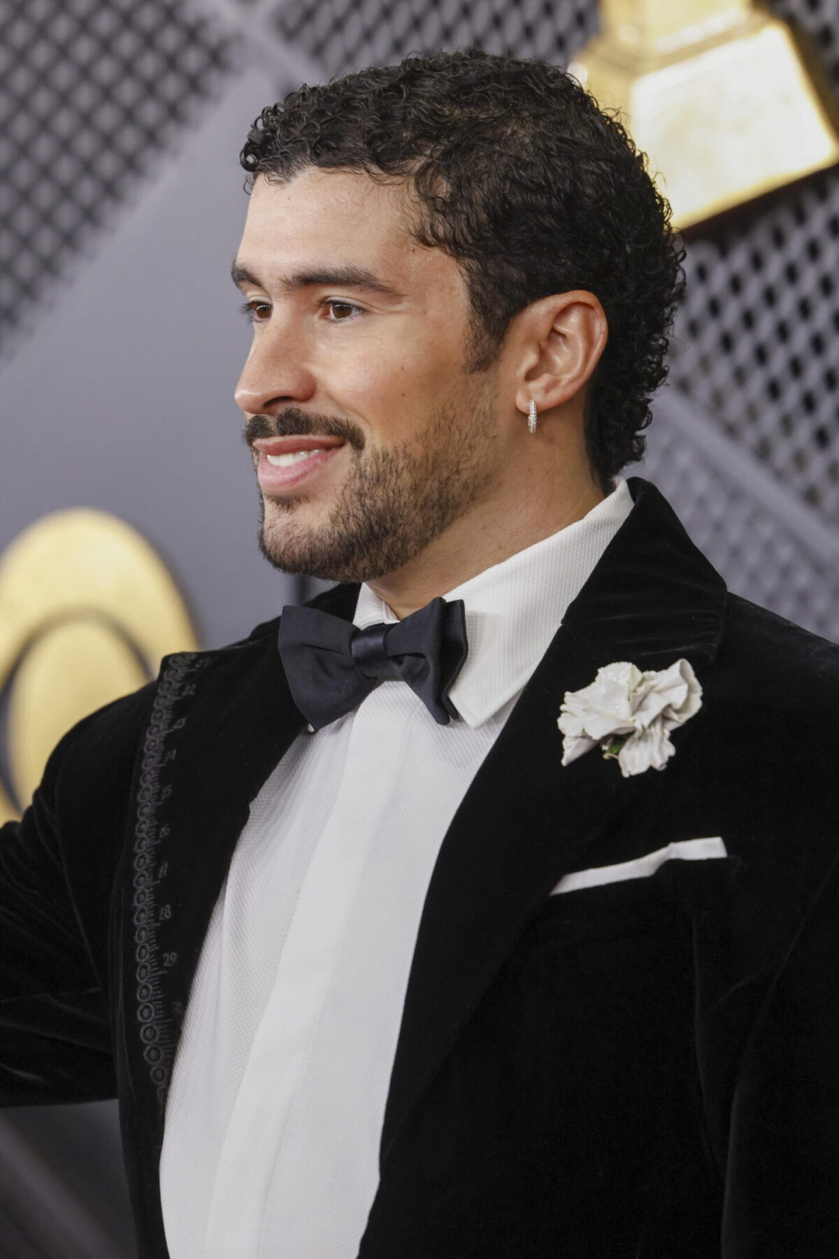 Grammy 2026: i look più belli sul red carpet