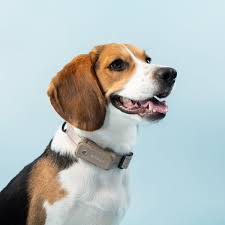 Gadget tech ad alto contenuto di stile