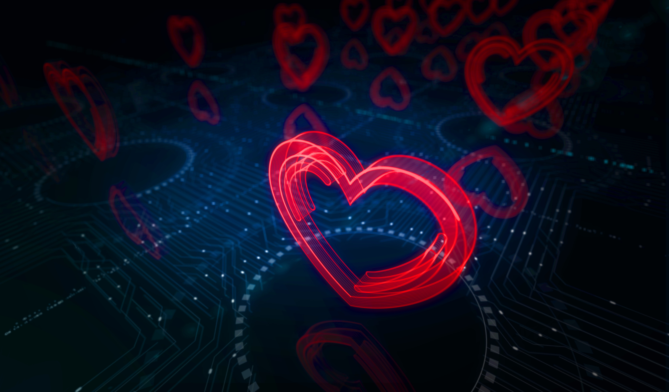 Se vuoi sposarti: paga. Qualche migliaio di dollari e l’algoritmo vi dichiara marito e moglie