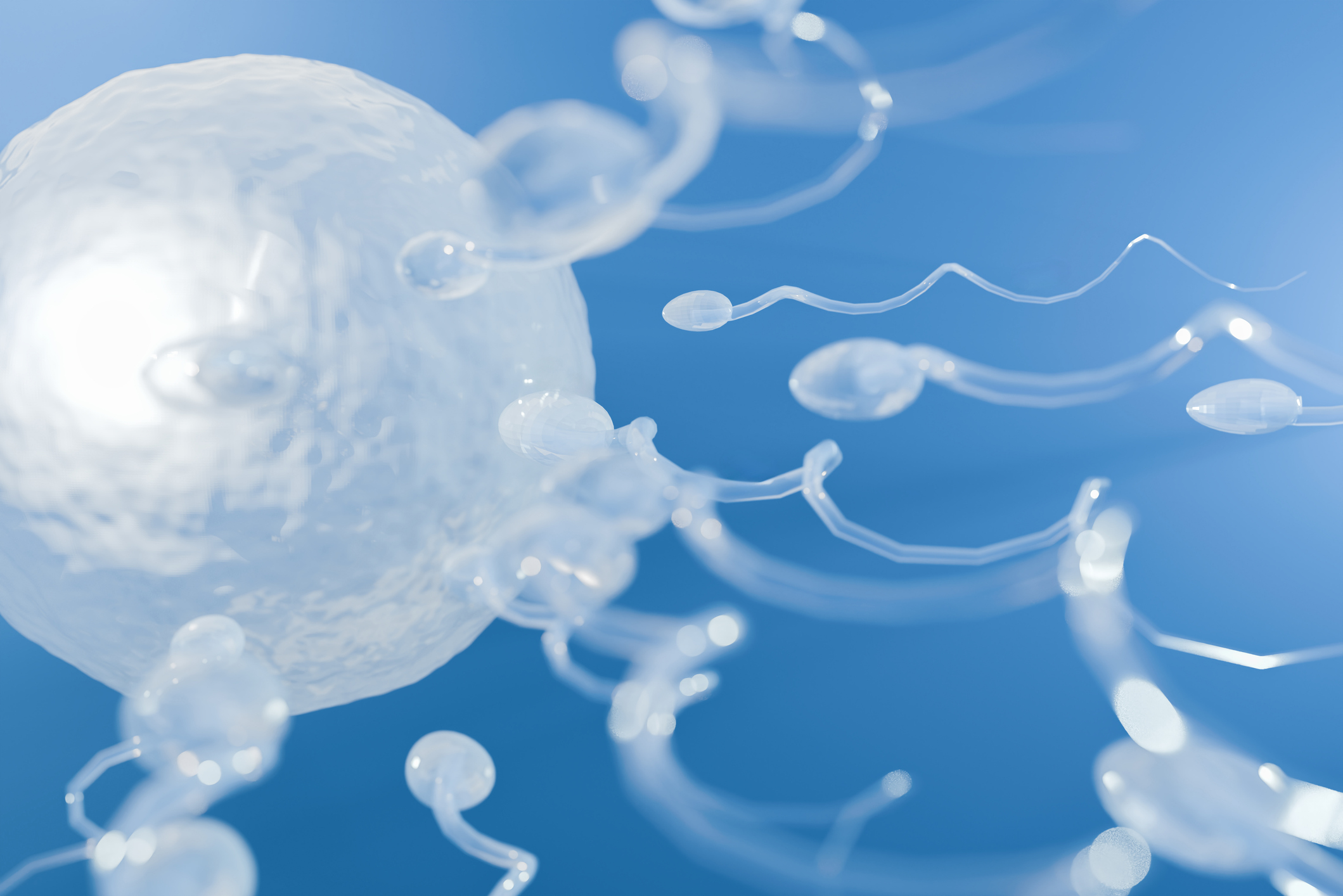 Bimbi in braccio: Dentro il crollo della fertilità e la nuova frontiera della procreazione assistita Bimbi in braccio: Dentro il crollo della fertilità e la nuova frontiera della procreazione assistita