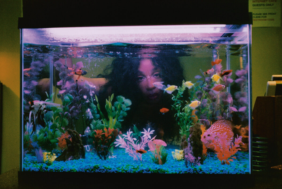 Le Vans Authentic compiono 60 anni e tornano con la campagna “Off The Wall” con SZA e Travis Barker