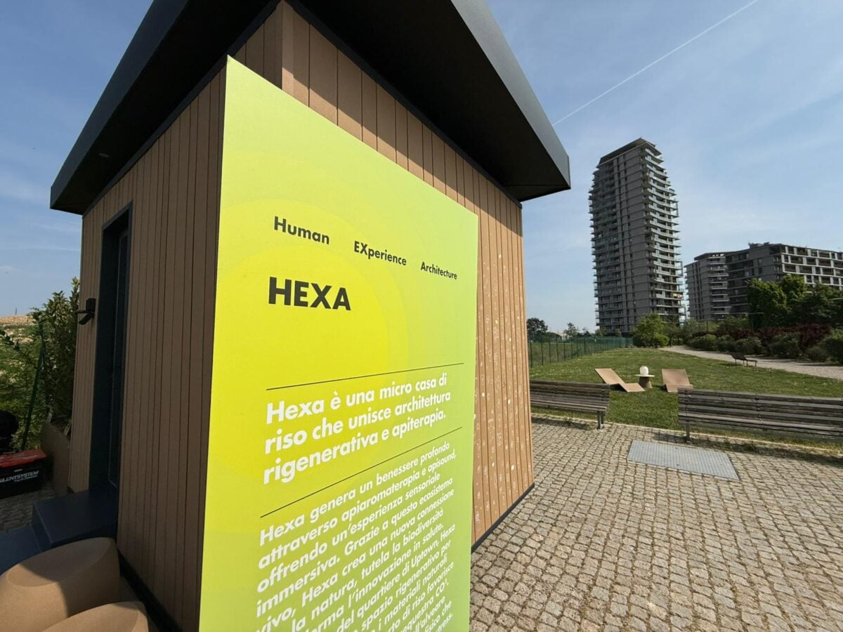 La micro-architettura di riso che cura l’uomo con l’apiterapia: nasce in Italia la casa del futuro