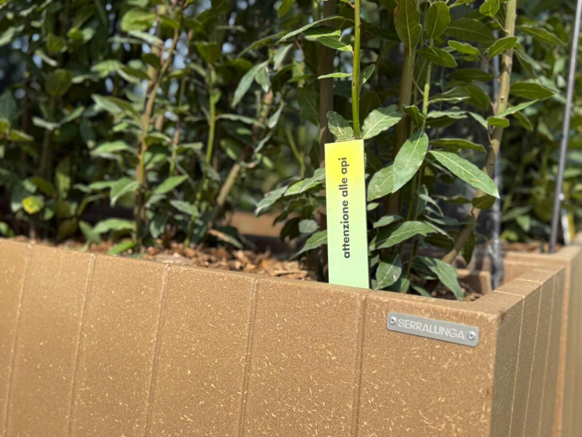 La micro-architettura di riso che cura l’uomo con l’apiterapia: nasce in Italia la casa del futuro