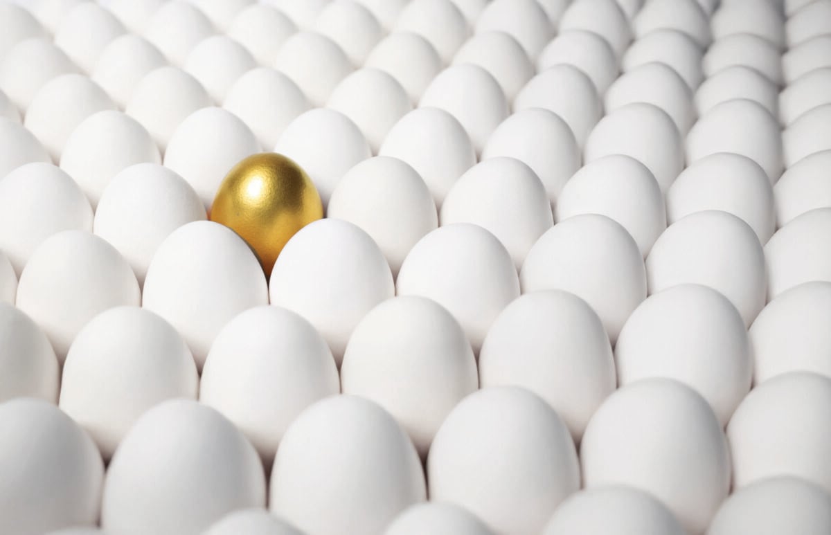 Uova, il ritorno che costa caro: da alimento dei poveri a simbolo dell’inflazione globale