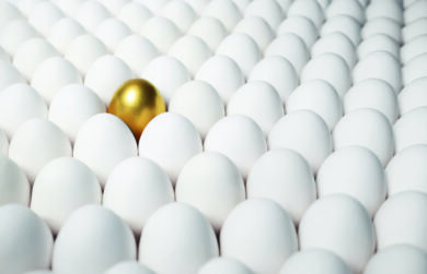 Uova, il ritorno che costa caro: da alimento dei poveri a simbolo dell’inflazione globale