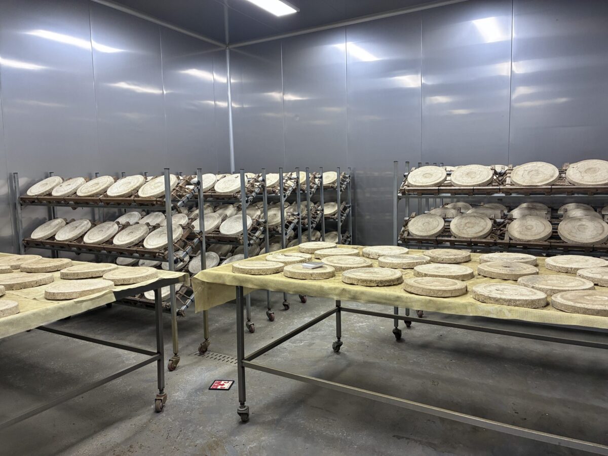 Viaggio nella Jeolla dentro Han’s Brewery, il laboratorio che sta riscrivendo il futuro degli alcolici coreani