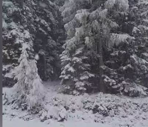 Maltempo, coda di inverno: in Trentino nevica a maggio