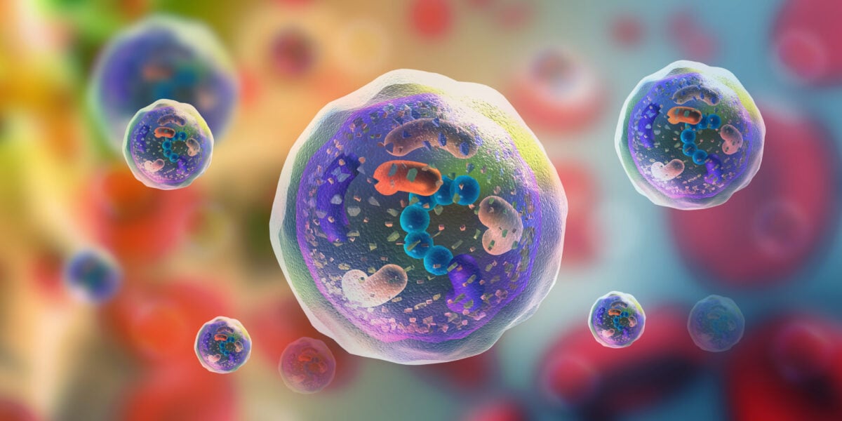 Riscrivere il cancro: le ricerche sulla reversione cellulare