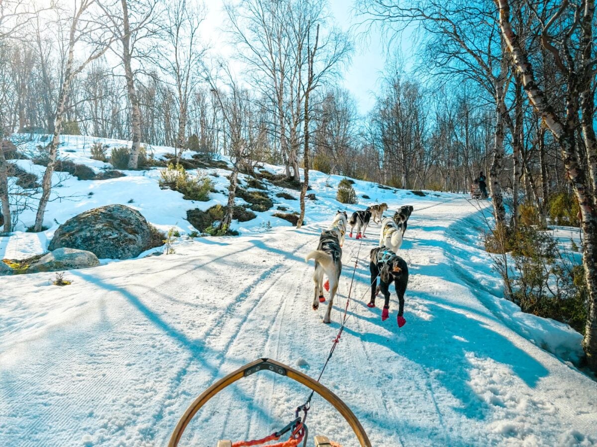 Verso nord. Un’avventura in Lapponia
