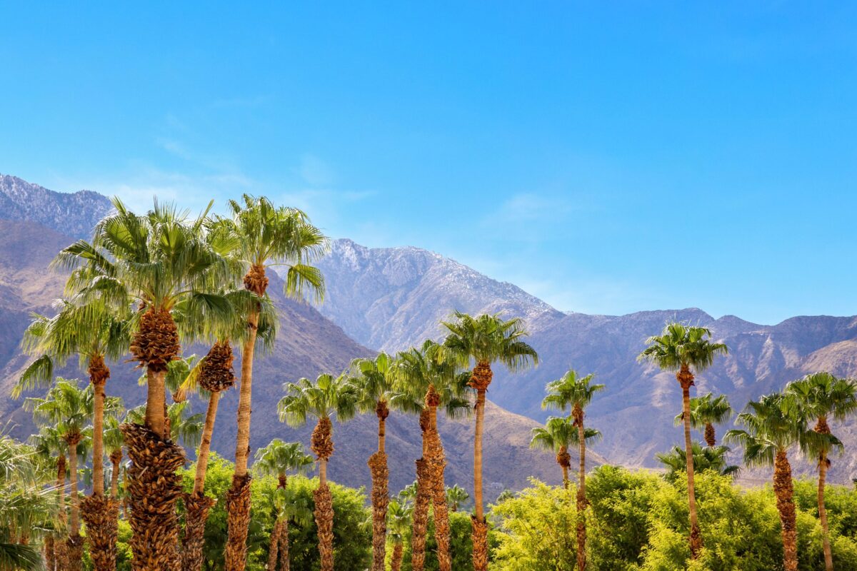 Greater Palm Springs: natura, cultura e relax nell’oasi di benessere californiana Greater Palm Springs: natura, cultura e relax nell’oasi di benessere californiana