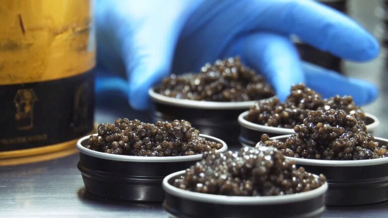 caviale