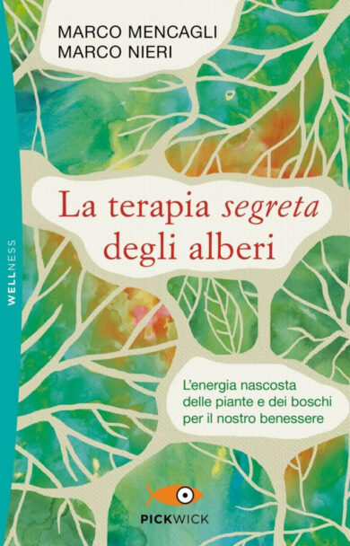 I segreti della Forest Therapy
