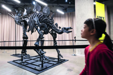 Jurassic cash: i miliardari fanno a gara per comprare il T-Rex da 30 milioni di dollari