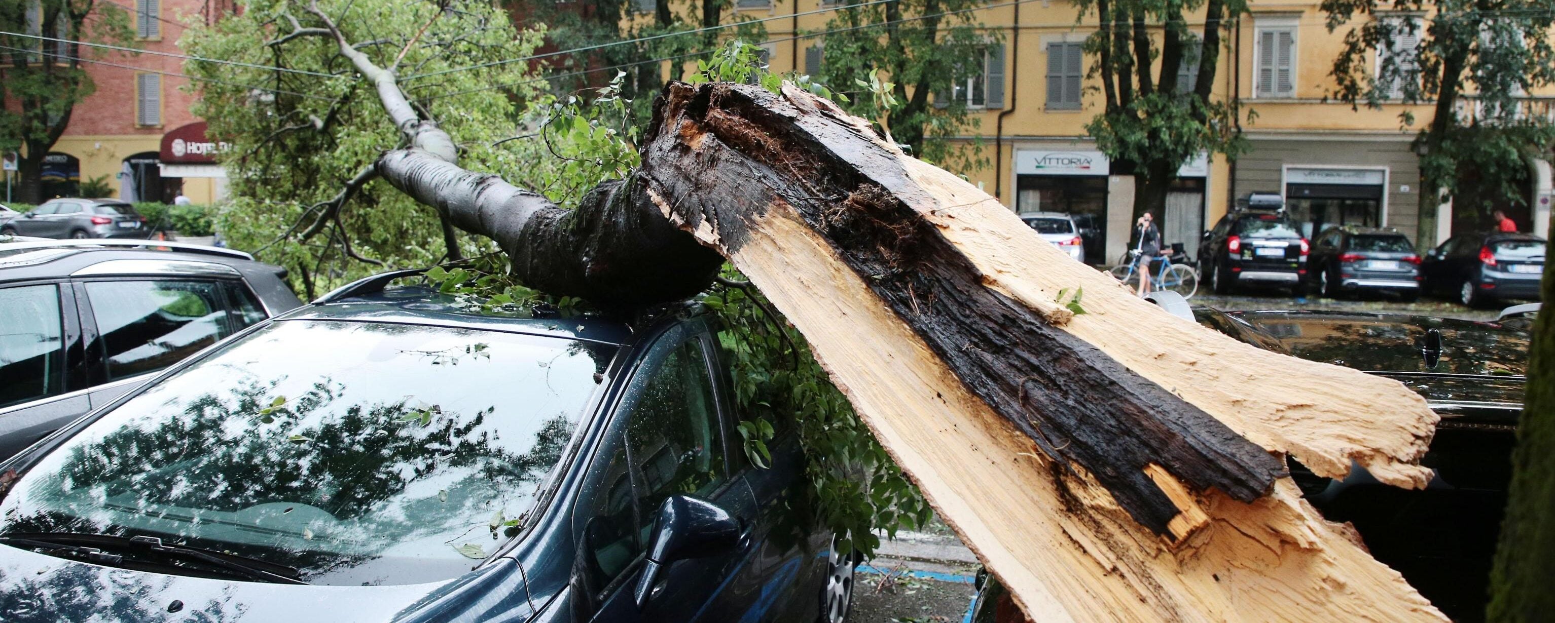 Grandine e alberi caduti, quando spetta il risarcimento: cosa copre davvero l’assicurazione Grandine e alberi caduti, quando spetta il risarcimento: cosa copre davvero l’assicurazione